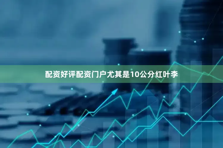 配资好评配资门户尤其是10公分红叶李